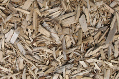 biomass boilers Brinsworthy